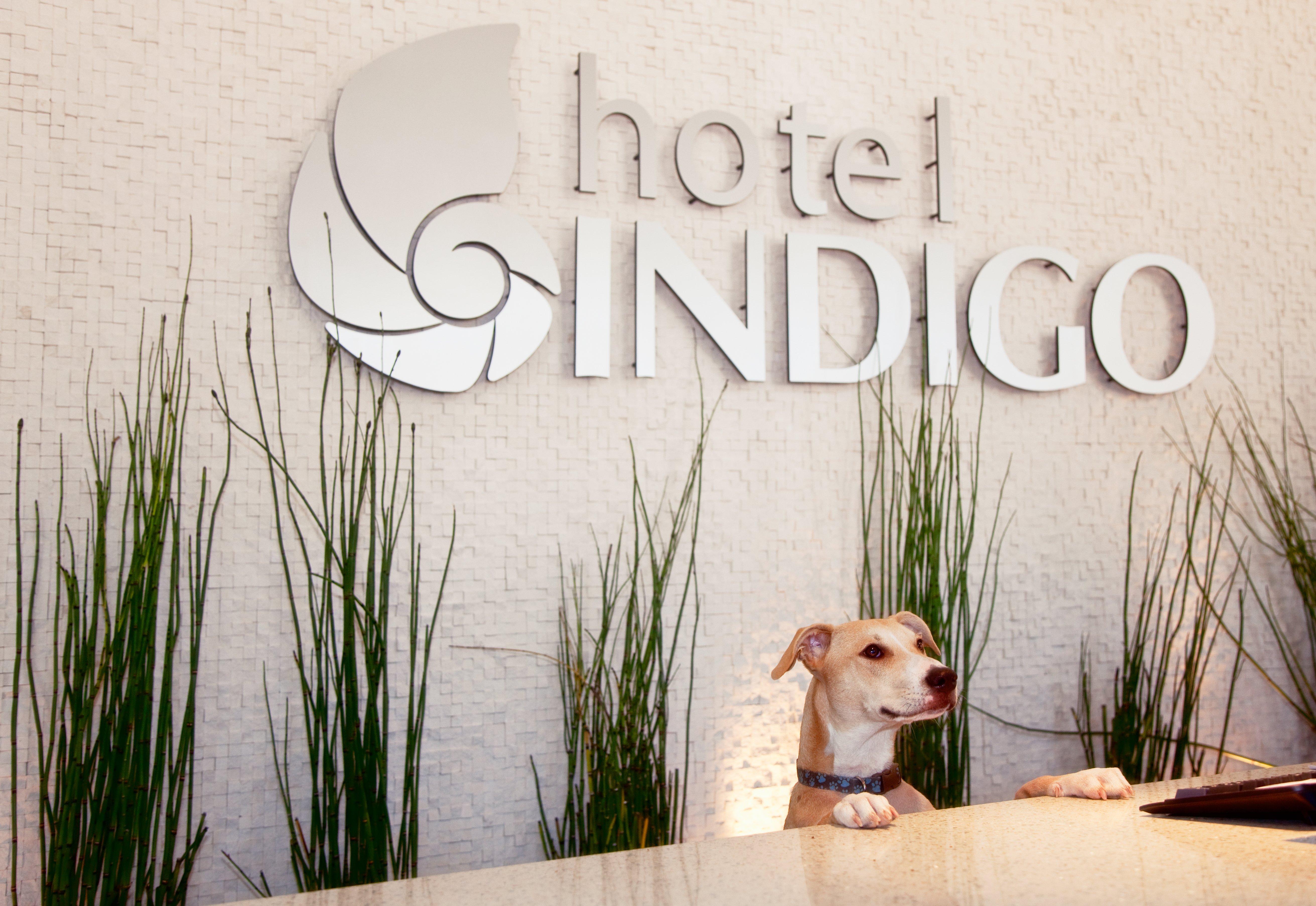 Hotel Indigo San Diego - Gaslamp Quarter By Ihg Екстер'єр фото